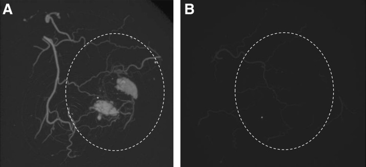 FIG. 6.