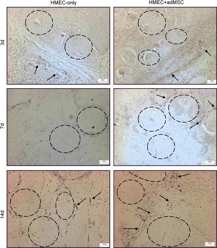 FIG. 4.