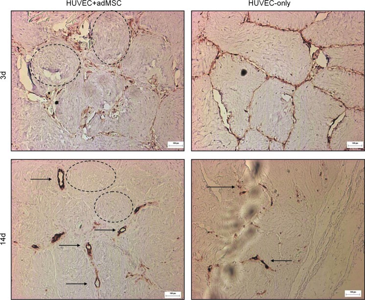 FIG. 8.