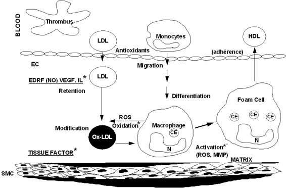 Figure 2.