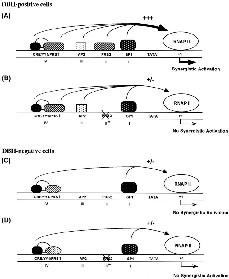 Fig. 9.