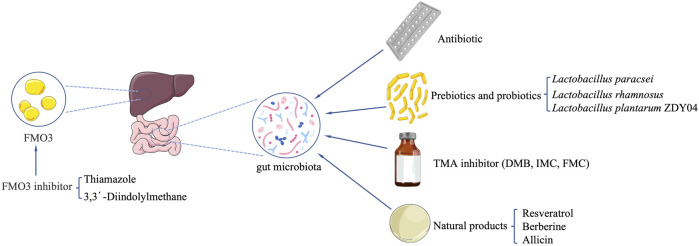 FIGURE 2