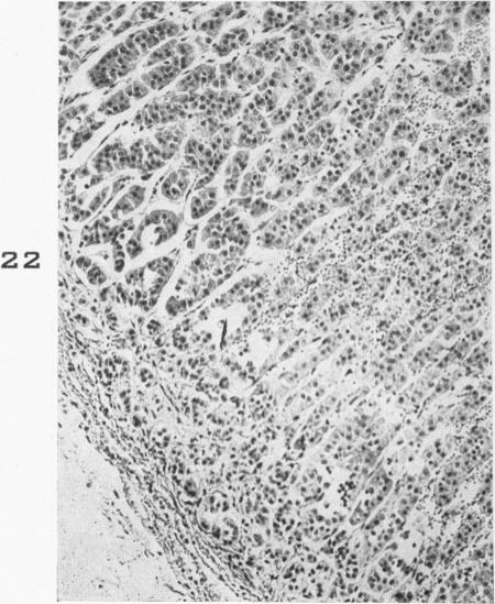 Fig. 22