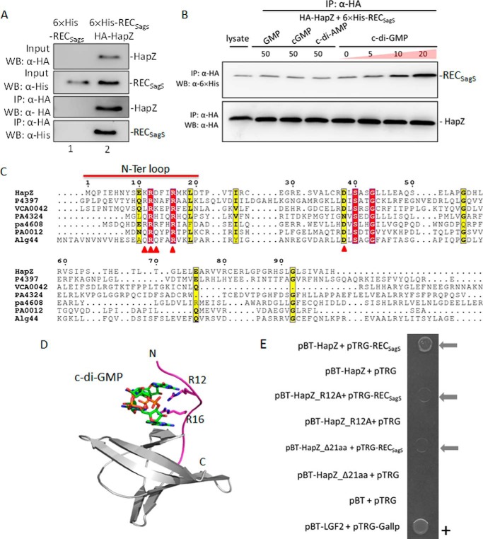 FIGURE 2.