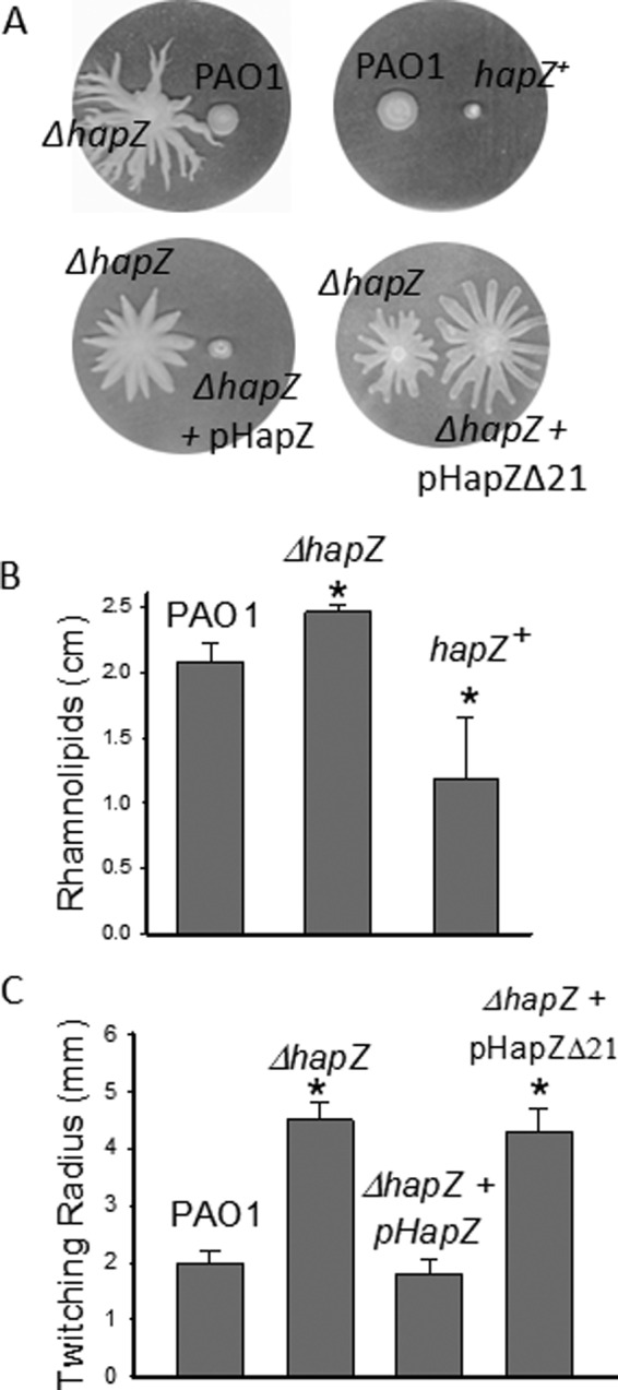 FIGURE 5.