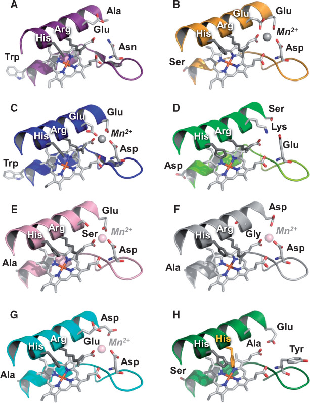 Fig. 6.