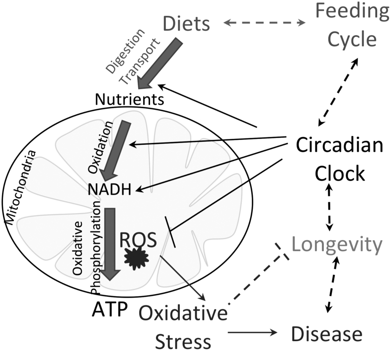 FIG. 7.