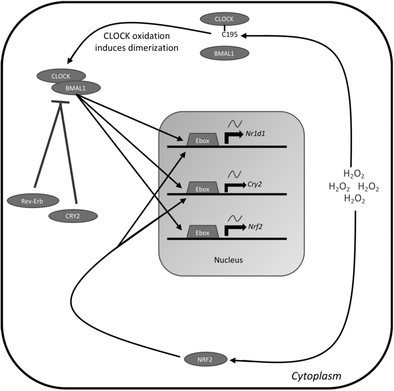 FIG. 6.