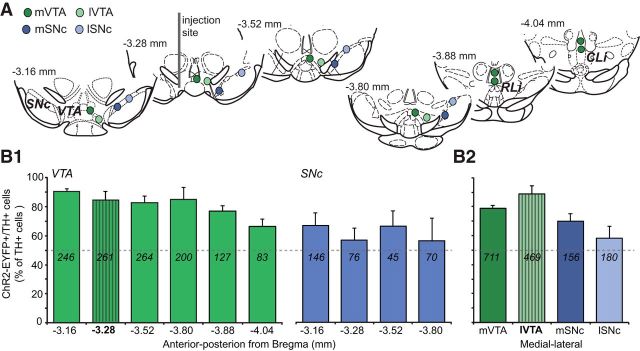 Figure 2.