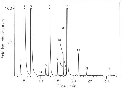 FIG. 1