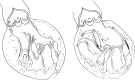 Figure 5: