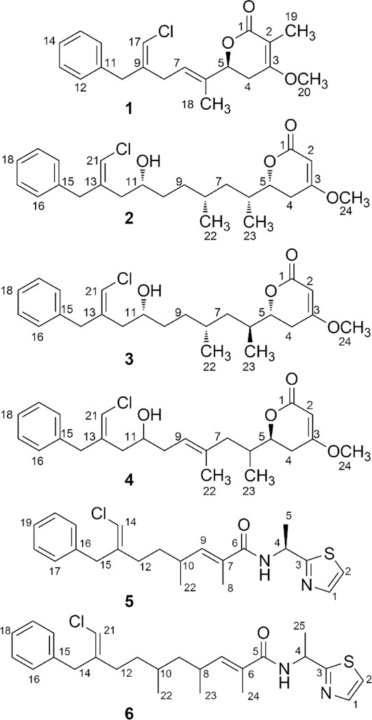 Chart 1.