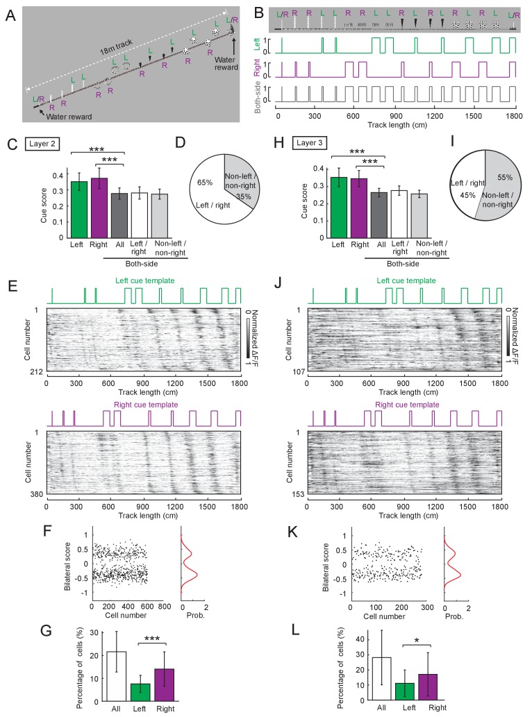 Figure 5—figure supplement 4.