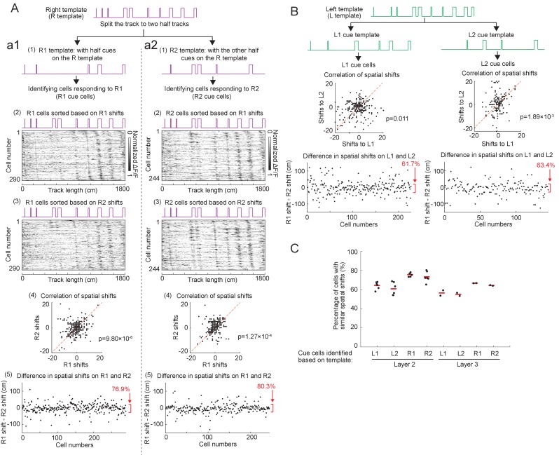 Figure 5—figure supplement 5.