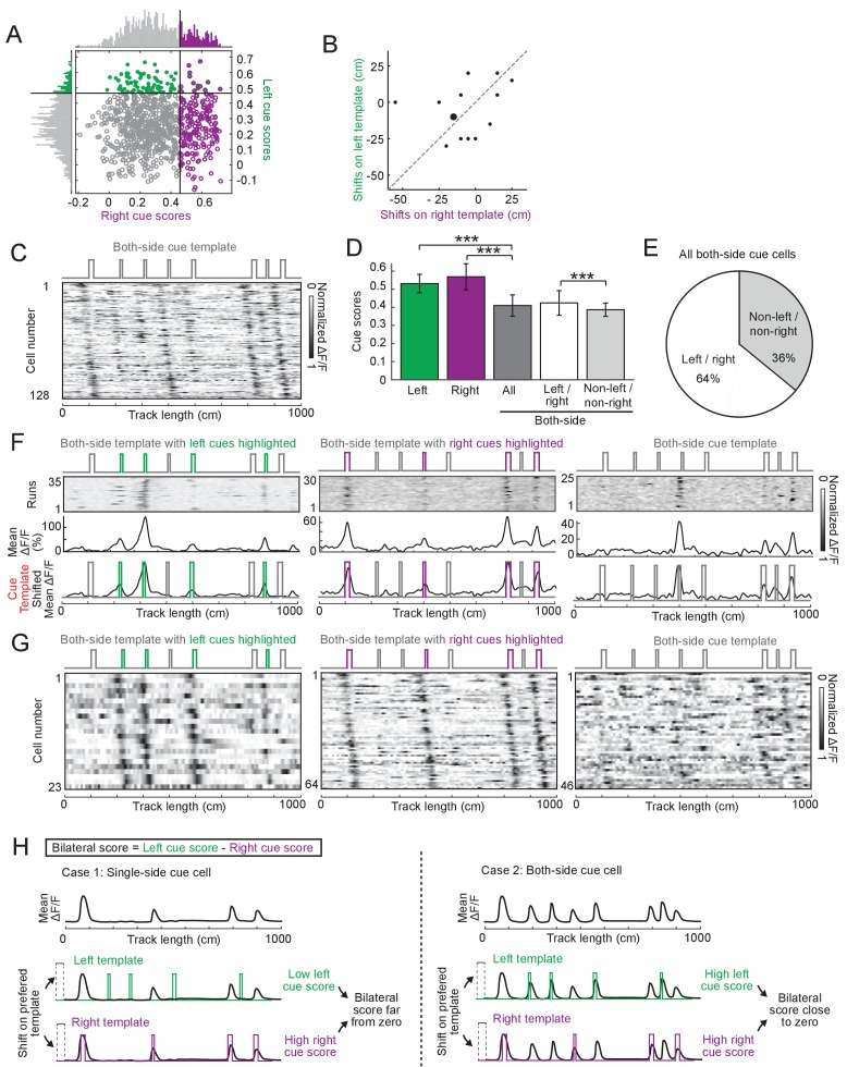 Figure 5—figure supplement 2.