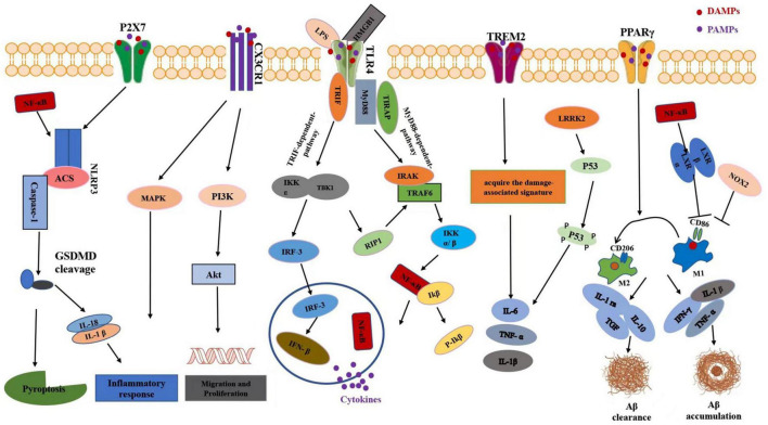 FIGURE 2