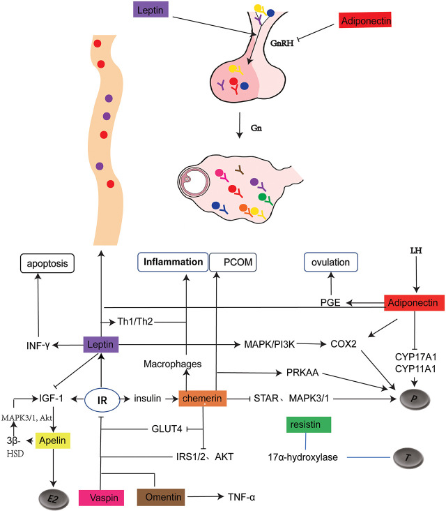 Figure 1