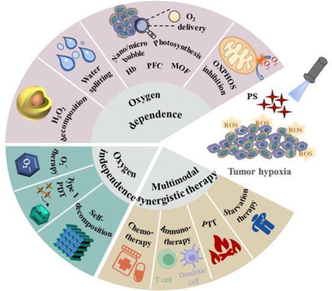 Image, graphical abstract