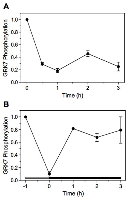 Fig. 8