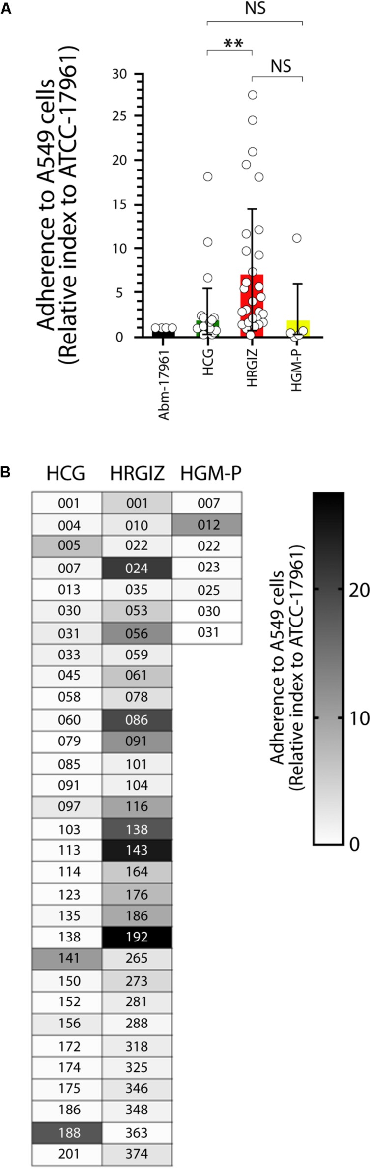 FIGURE 6