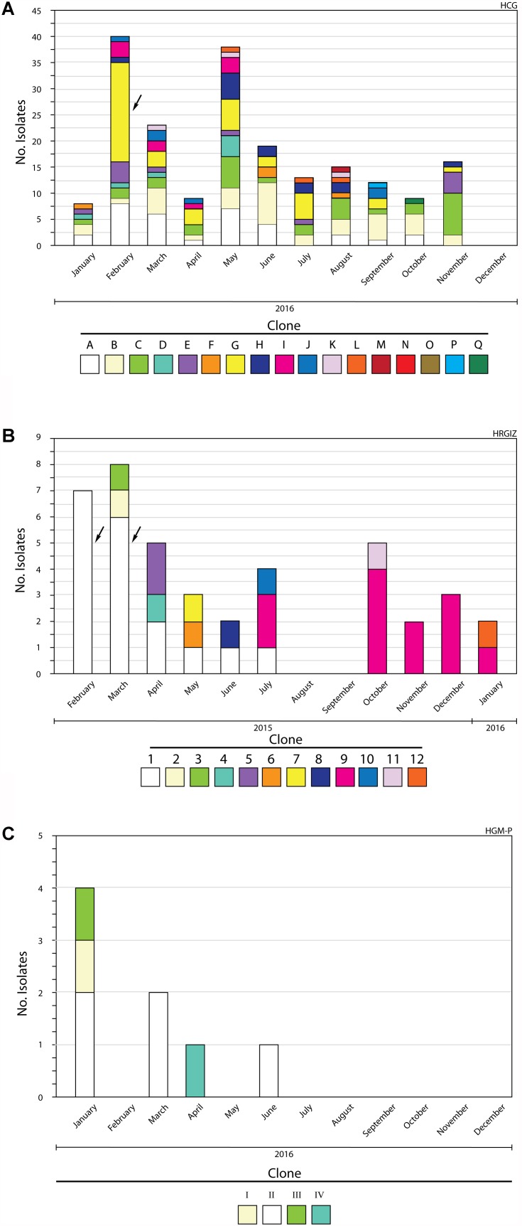 FIGURE 2