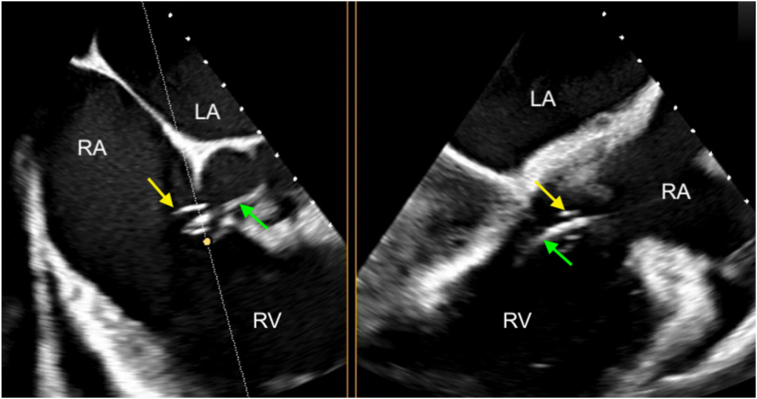 Figure 7