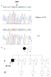 Fig. 3a,b