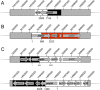 FIG 2