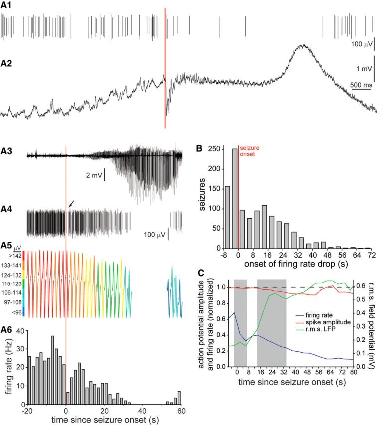 Figure 10.