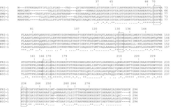 FIG 3