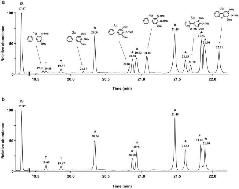 Fig 6