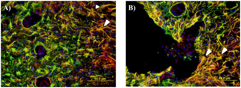 Figure 10