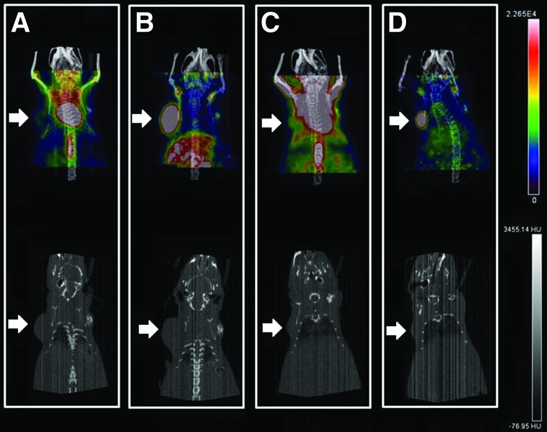 FIG. 6.