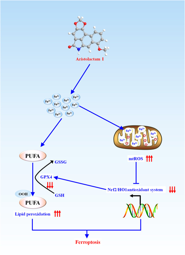 FIGURE 6