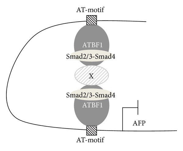 Figure 8