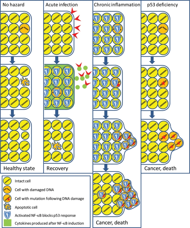 Figure 3.