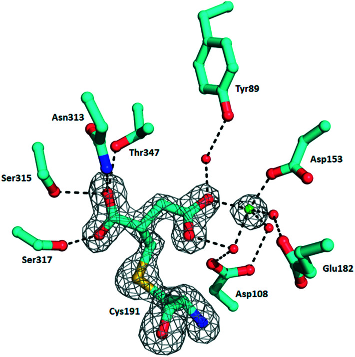 Fig. 3