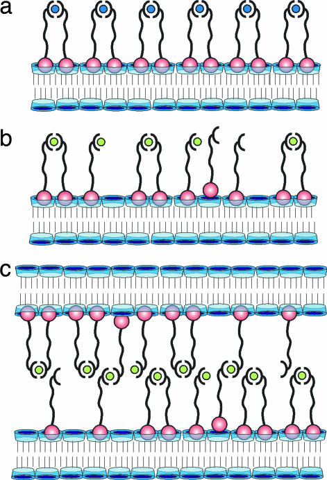 Fig. 9.