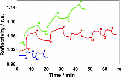 Fig. 7.