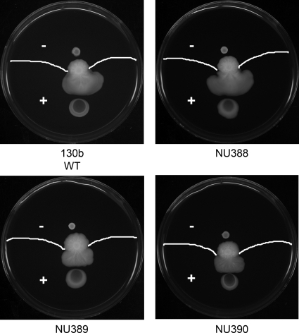 Fig. 2.