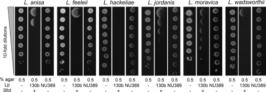 Fig. 11.