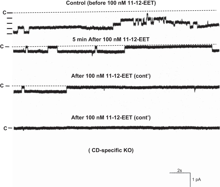 Fig. 7.