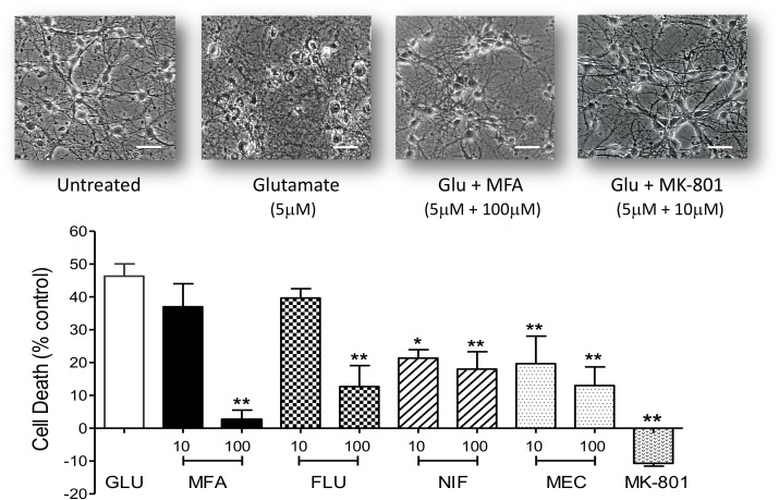 FIGURE 4