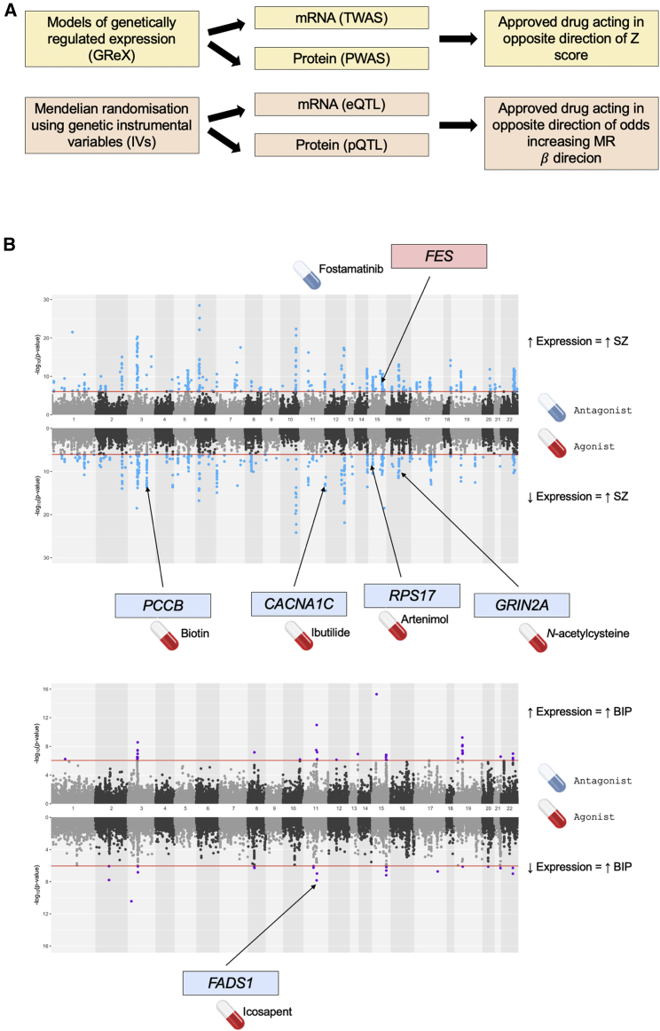 Figure 2