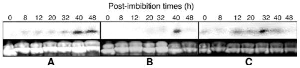 Fig. 9