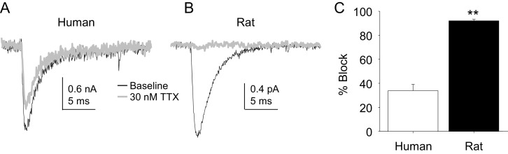 Figure 10.