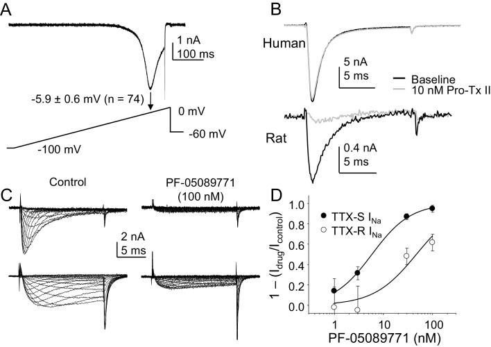 Figure 12.