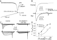 Figure 12.