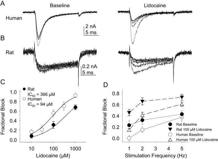 Figure 11.