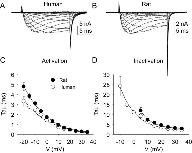 Figure 5.